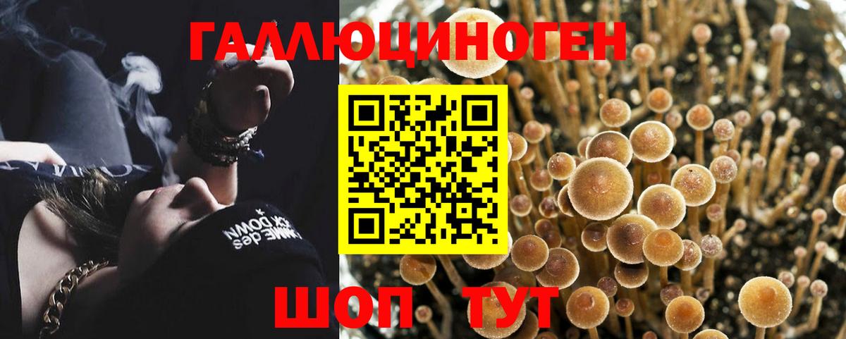 купить закладку  Вход с VPN  Галлюциногенные грибы Psilocybine cubensis  Ликино-Дулёво  Галлюциногенные грибы MAGIC MUSHROOMS 